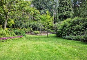 Optimiser l'expérience du jardin à Picquigny
